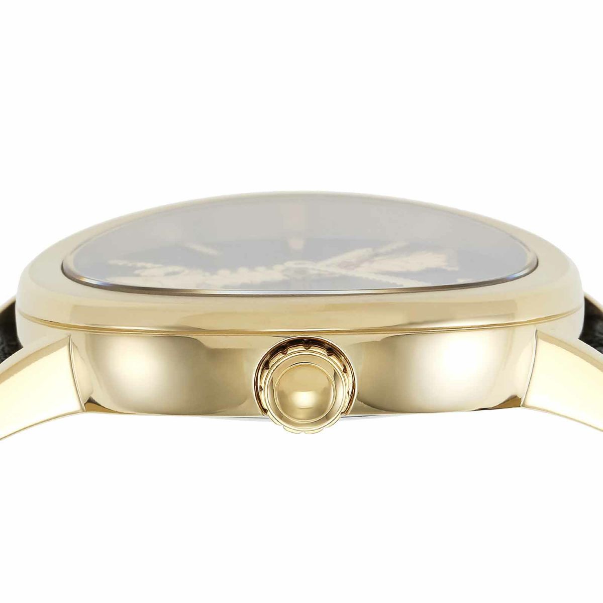 Versace ヴェルサーチェ ヴェルサーチェヴィルトゥス / VEHC00119