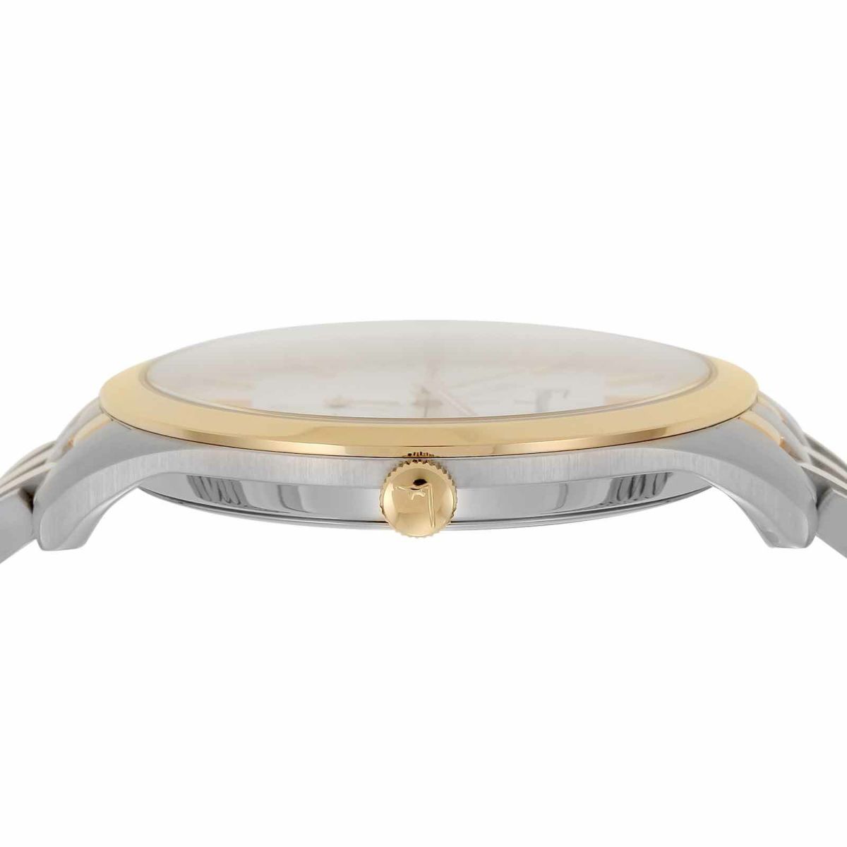 Ferragamo フェラガモ スリム / SFDF00418