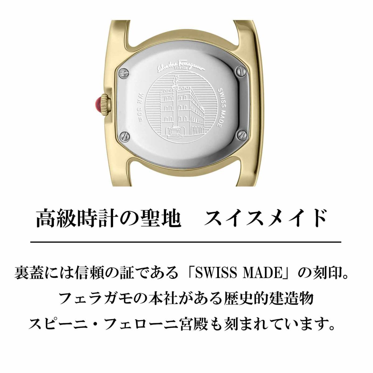 Ferragamo フェラガモ ヴァラ / SFEL00419