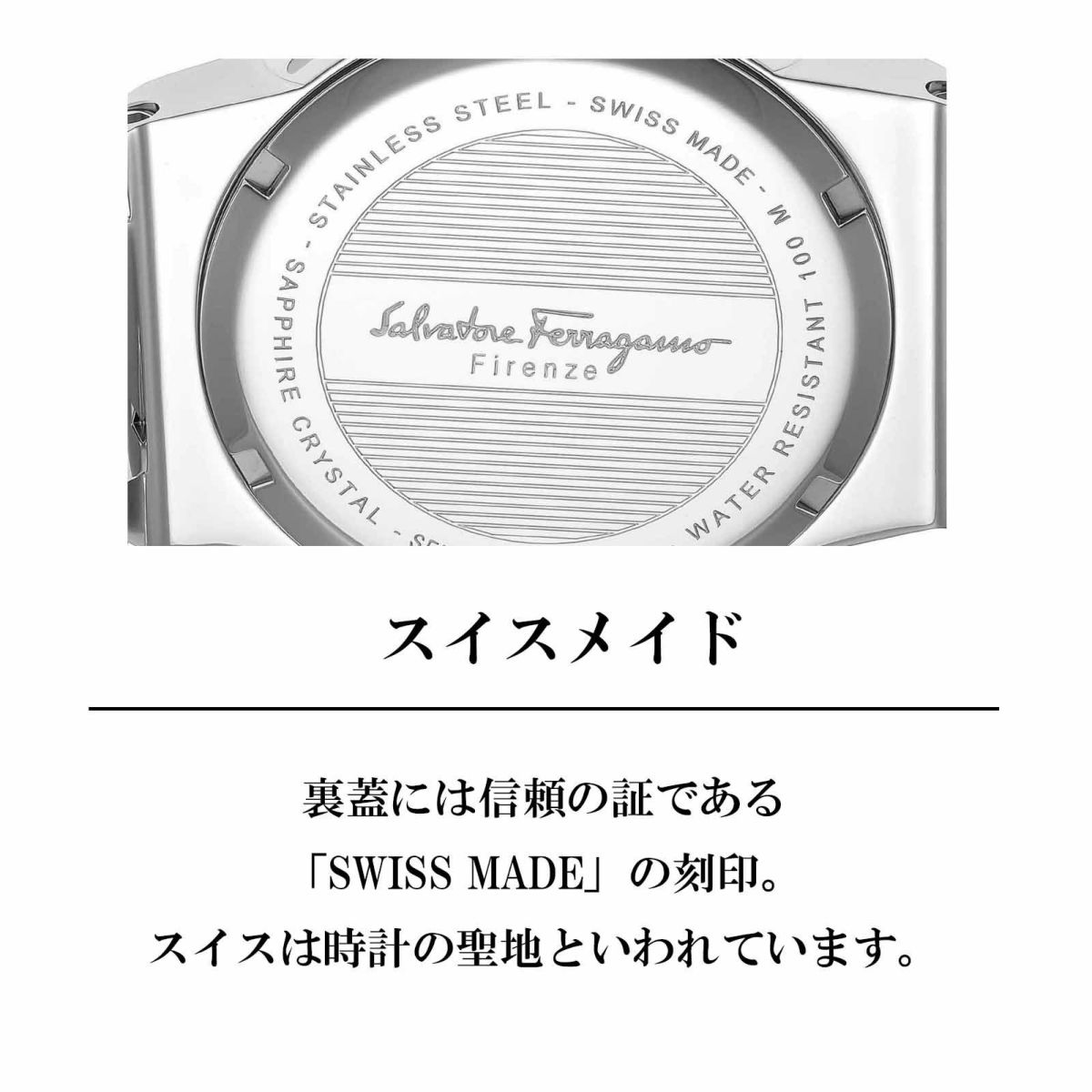 Ferragamo フェラガモ F-80 / SFEX00419