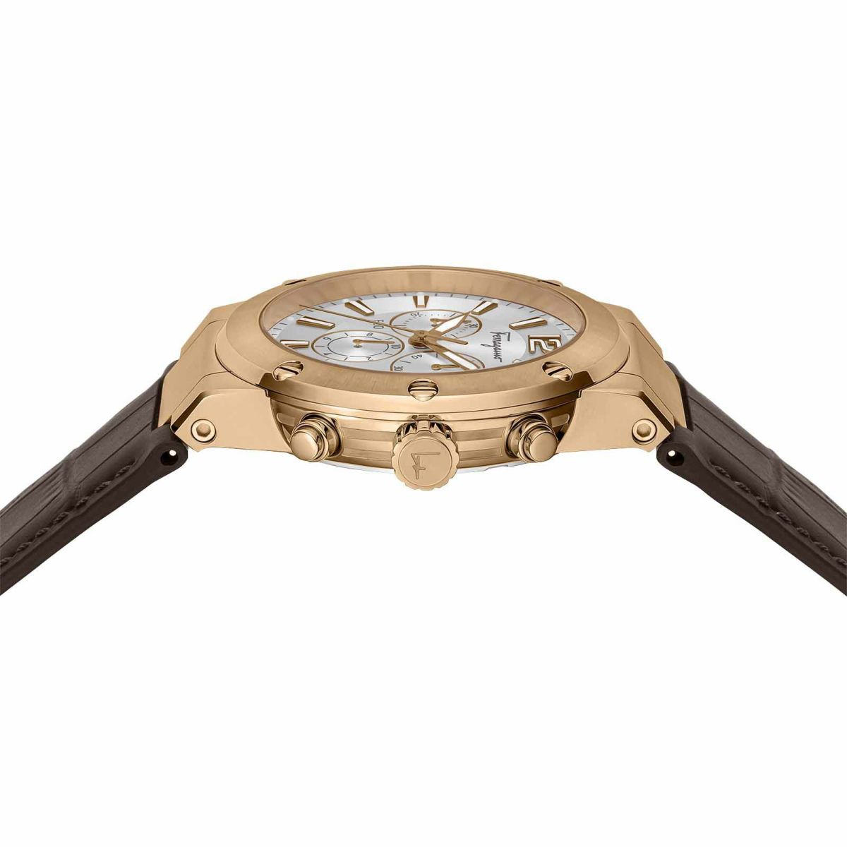 Ferragamo フェラガモ F-80 / SFEX00419