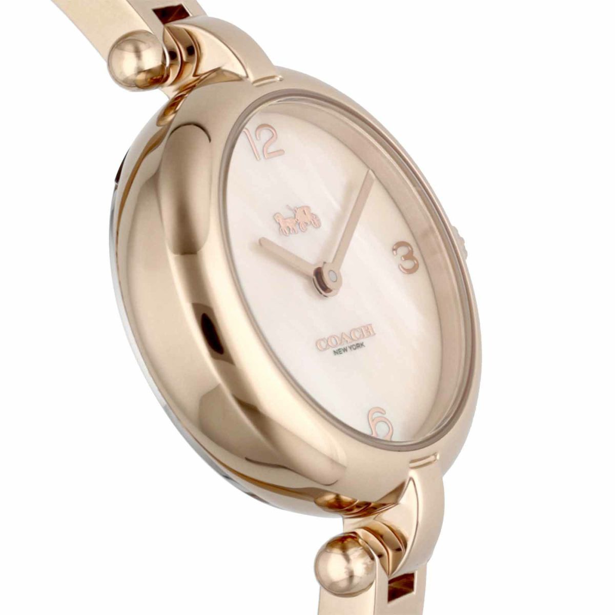 COACH コーチ CARY / 14504007