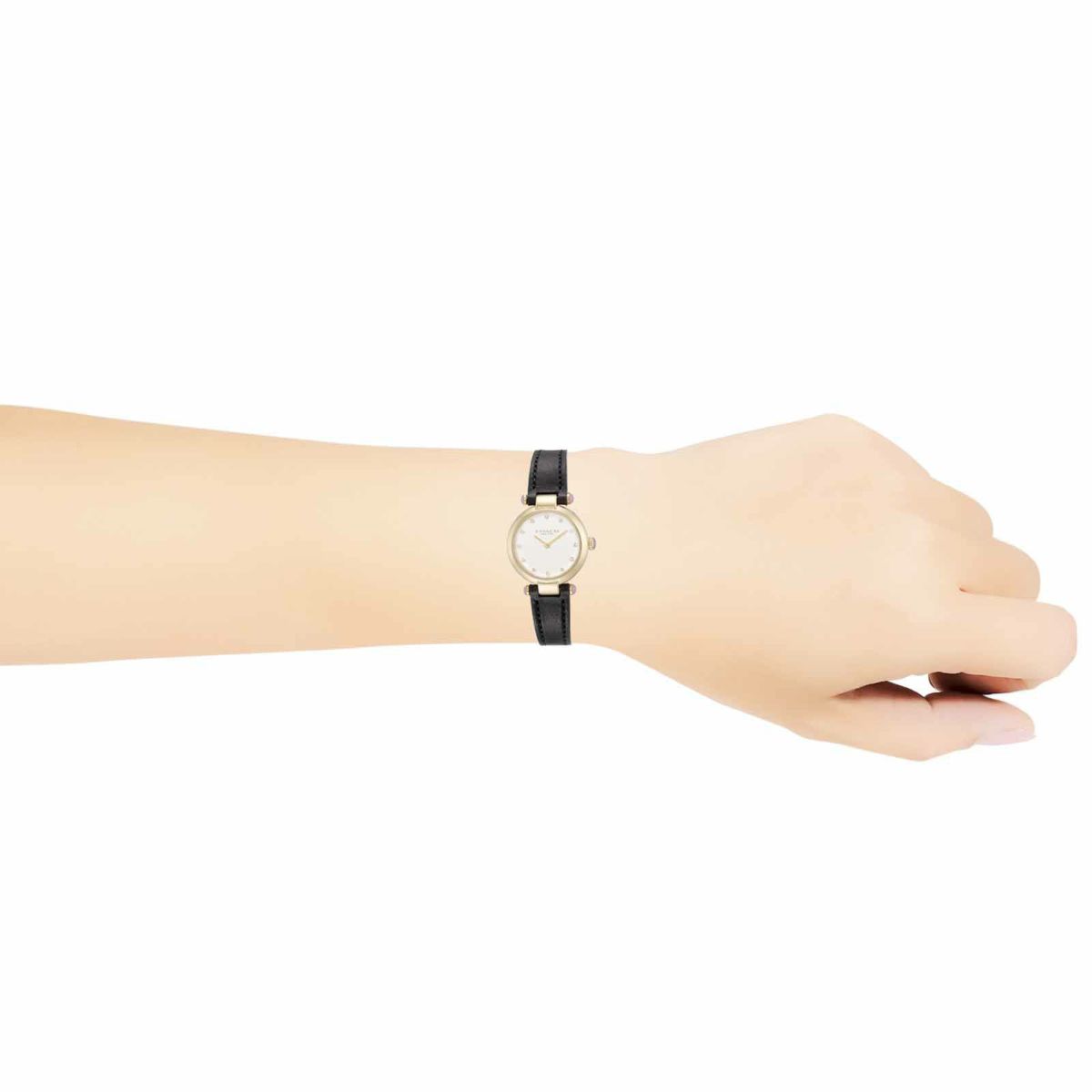 COACH コーチ CARY / 14504014