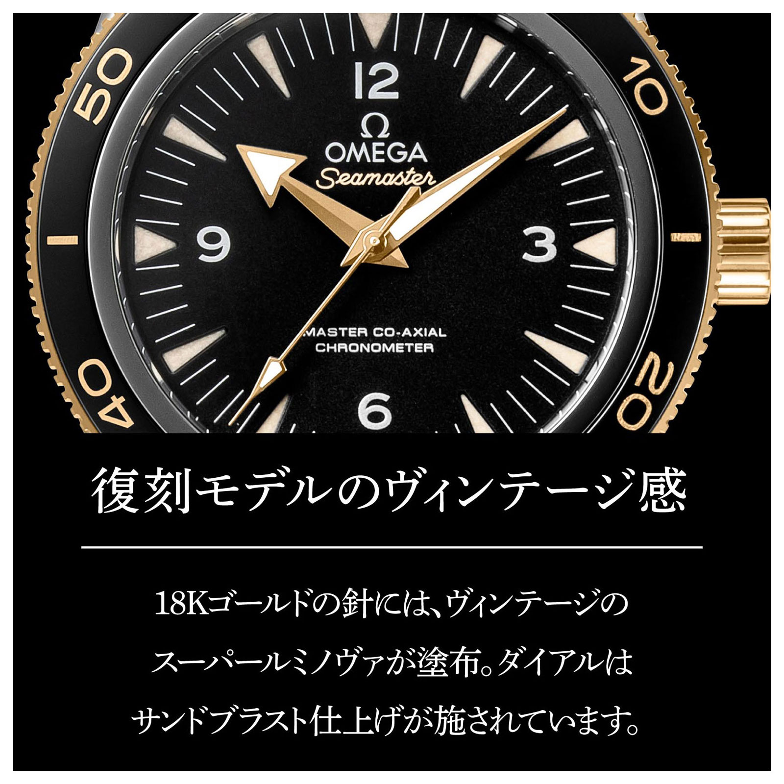 OMEGA オメガ シーマスター / 233.20.41.21.01.001
