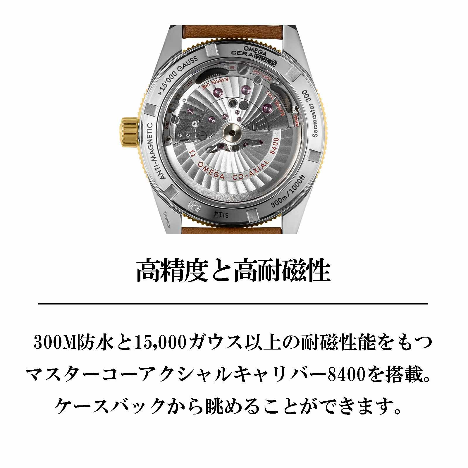 OMEGA オメガ シーマスター / 233.62.41.21.03.001