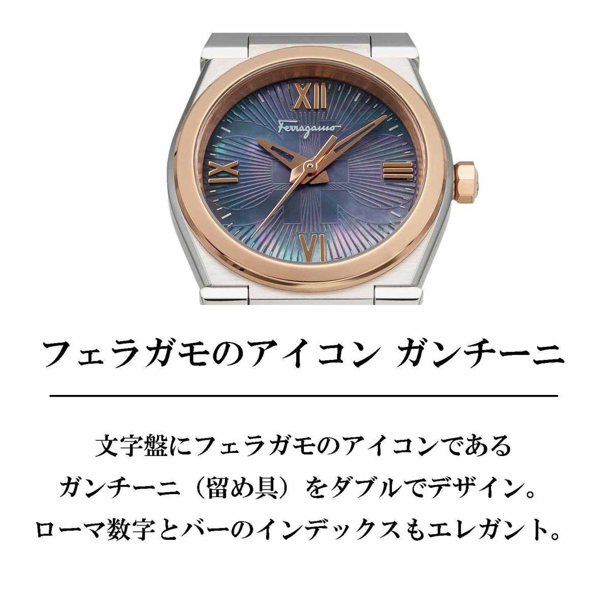 Ferragamo フェラガモ ベガ / SFYG00321