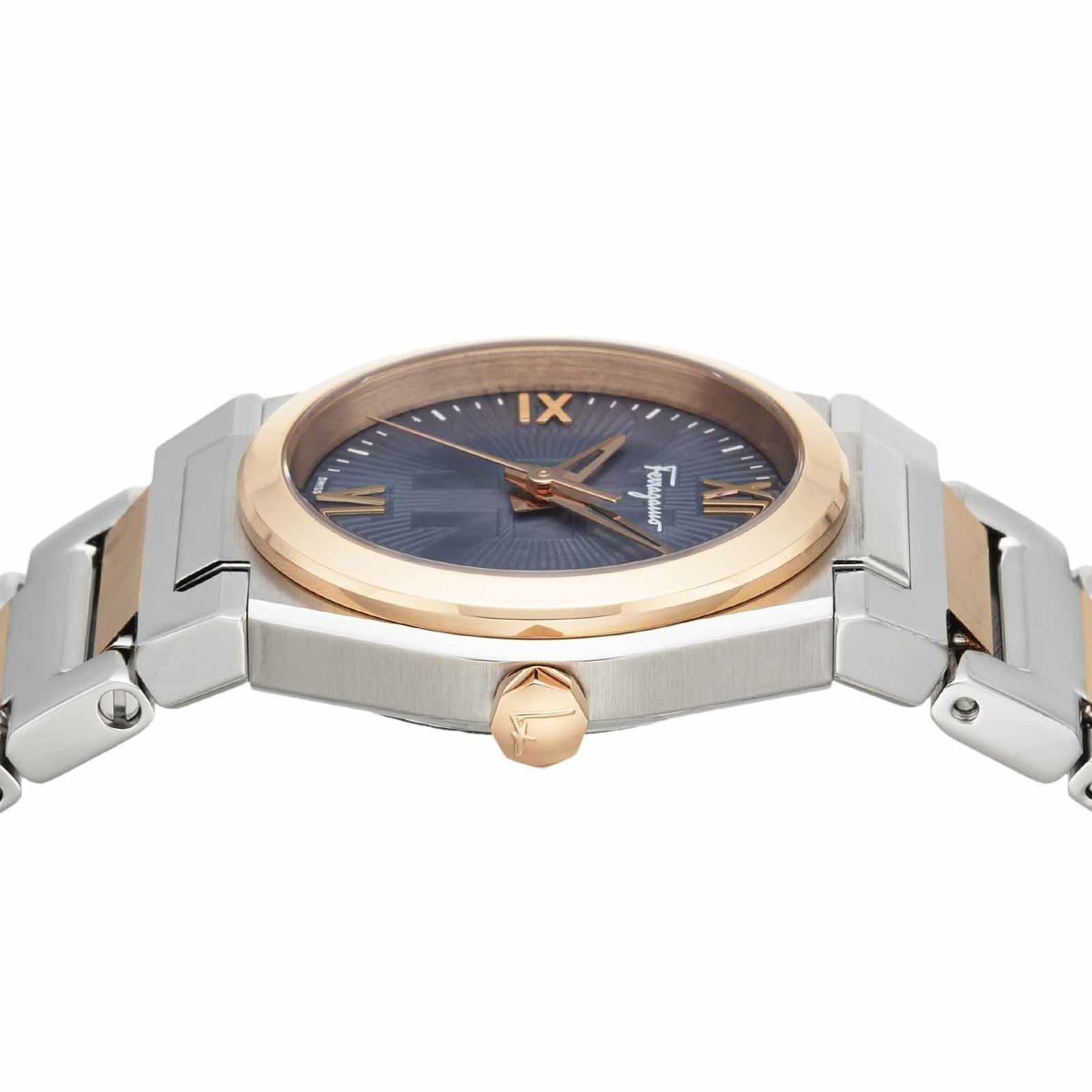 Ferragamo フェラガモ ベガ / SFYG00321