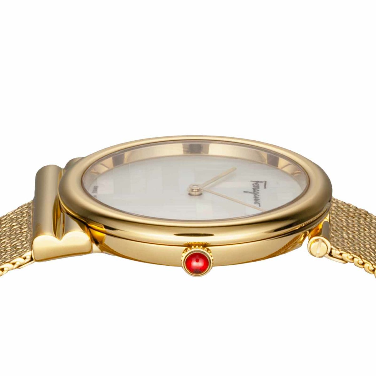 Ferragamo フェラガモ ガンチーニ / SFIY00719