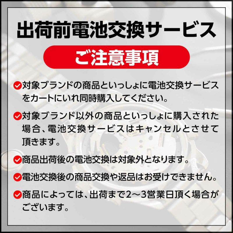 ◎未使用・電池交換済◎ はやぶさ帰還記念 HAYABUSA ギベオン