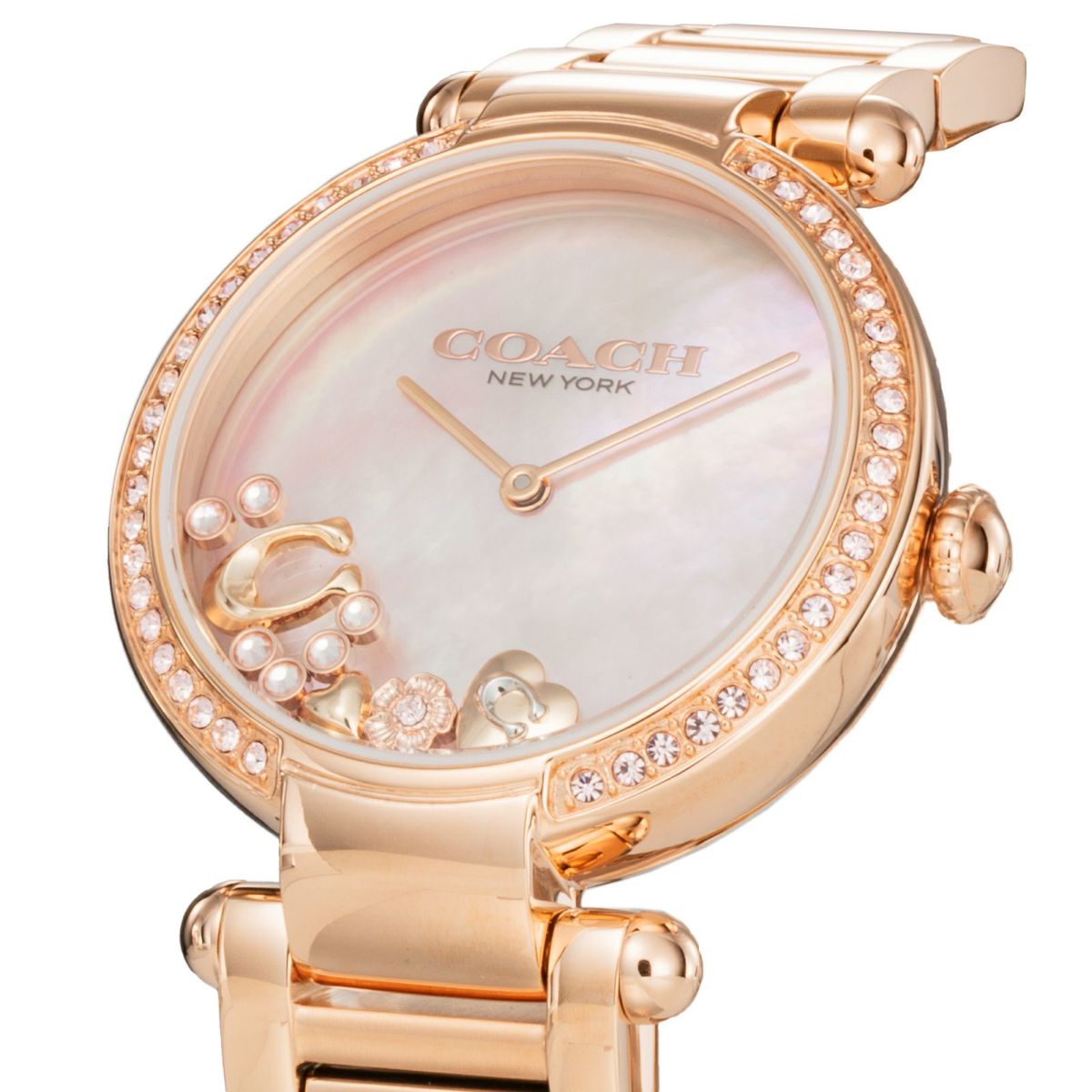 COACH コーチ CARY / 14504266