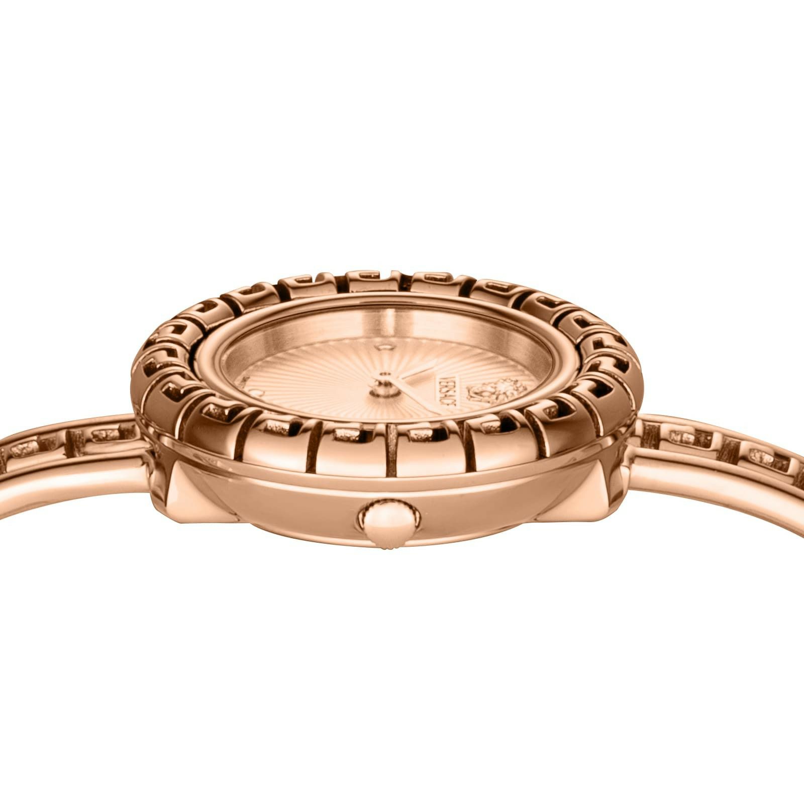 VERSACE ヴェルサーチェ La Greca / VE8C00424